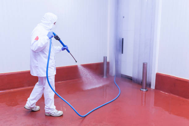 Best Brick and Stone Cleaning in Robbins, NC