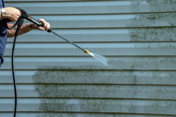 Best Roof Cleaning and Mildew Removal in Robbins, NC